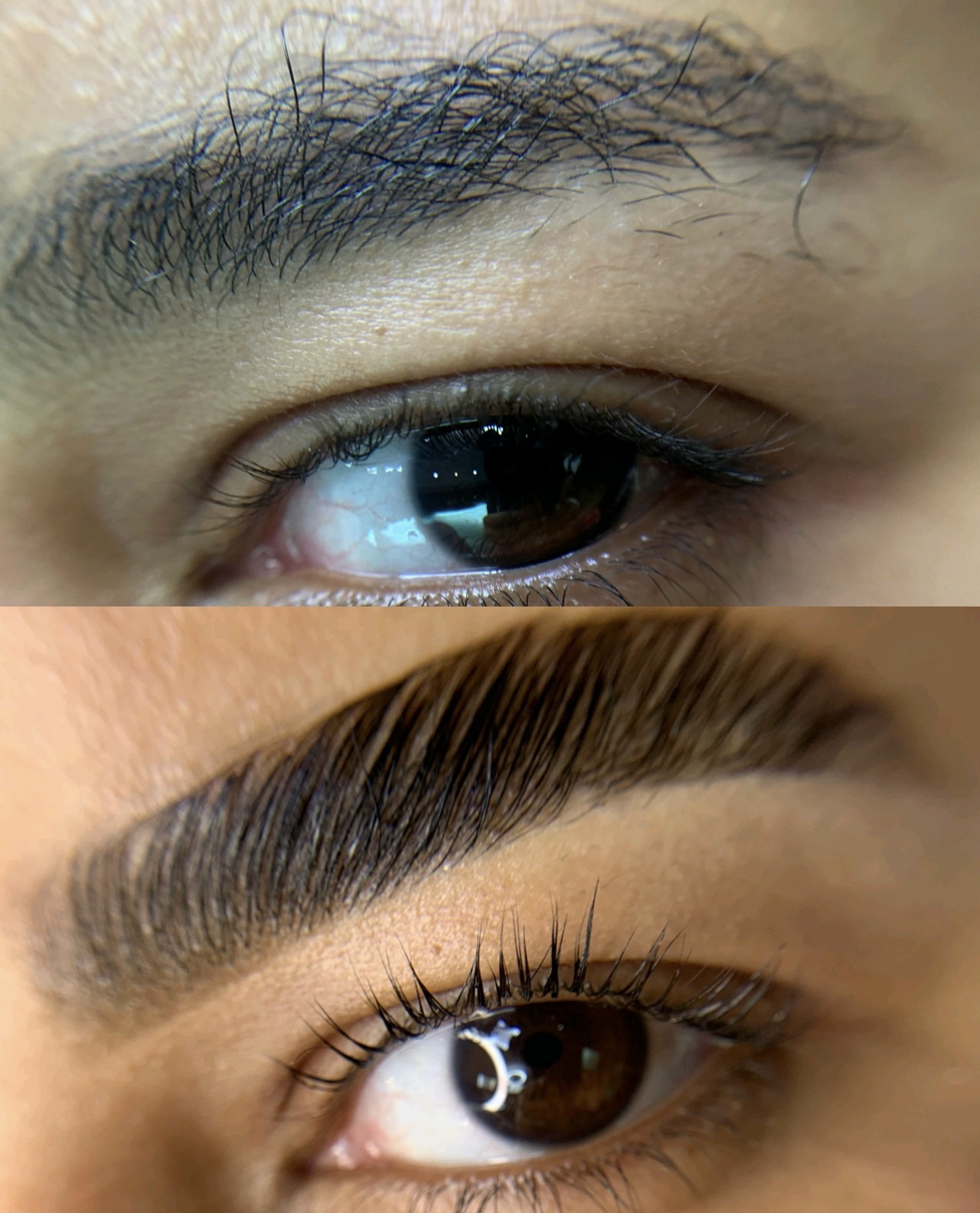 Laminado de Cejas